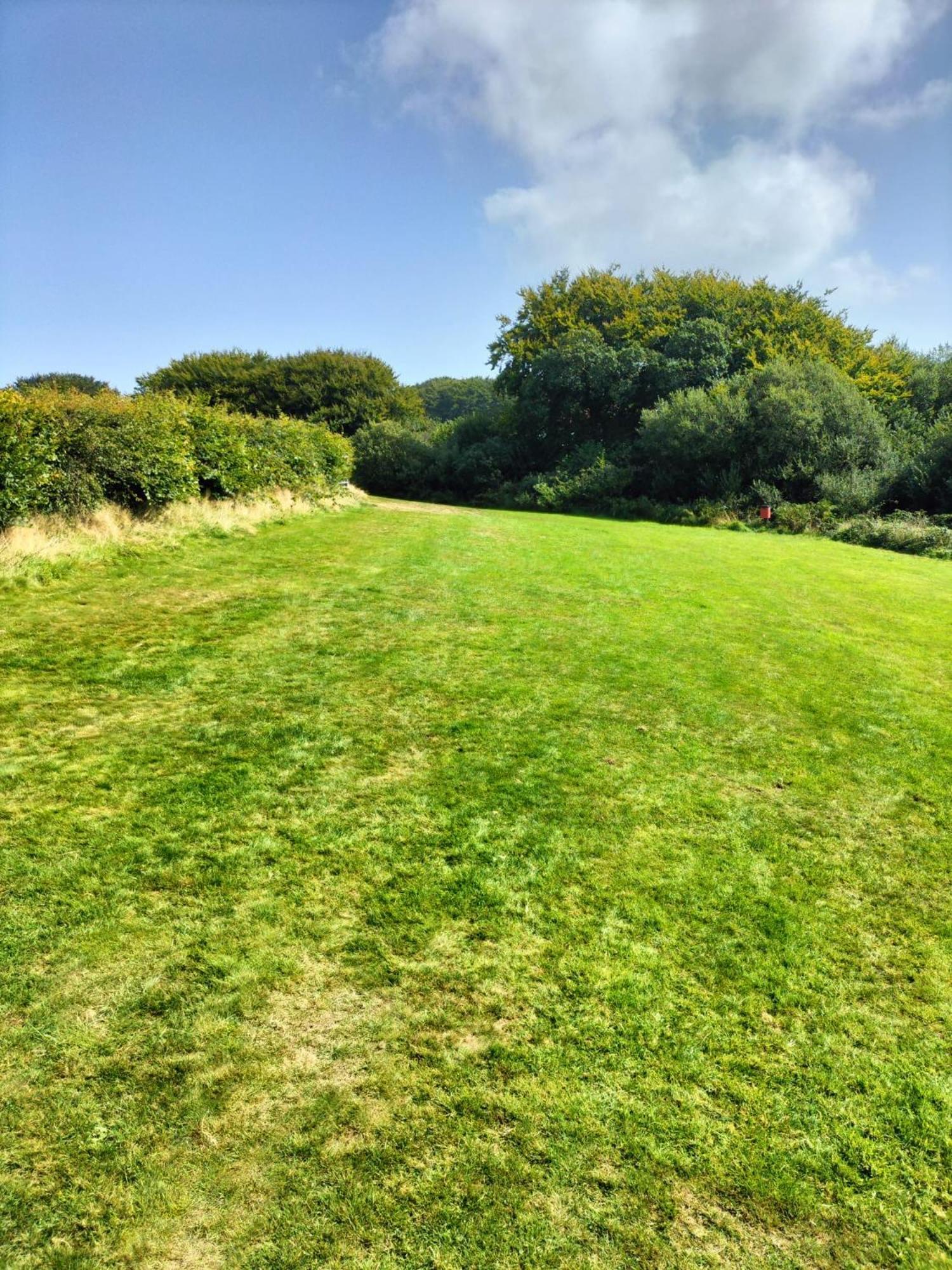 דירות 22 Stowford Gardens קומב מרטין מראה חיצוני תמונה